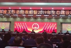 【荣誉】新蒲九州体育（中国）股份有限公司官网喜获中原区2018年度 经济社会发展作出突出贡献先进单位